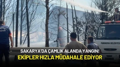 Sakarya’da Çamlık Alanda Yangın! Ekipler Hızla Müdahale Ediyor
