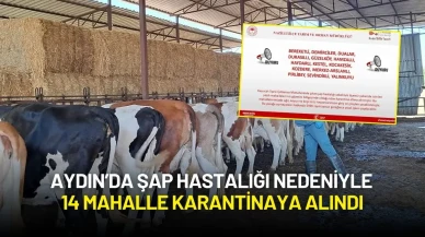 Aydın’da Şap Hastalığı Nedeniyle 14 Mahalle Karantinaya Alındı