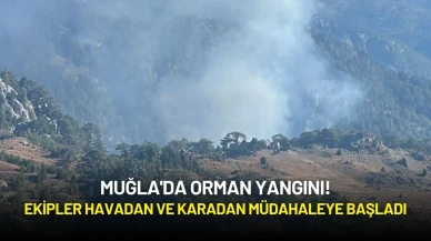 Muğla'da Orman Yangını: Ekipler Havadan ve Karadan Müdahaleye Başladı