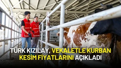 Türk Kızılay, 2025 Vekaletle Kurban Kesim Fiyatlarını Açıkladı