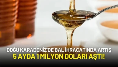 Doğu Karadeniz'de Bal İhracatında Artış: 5 Ayda 1 Milyon Doları Aştı!