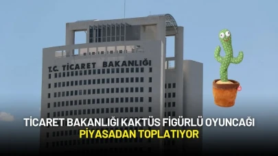 Ticaret Bakanlığı "Kaktüs Figürlü Oyuncak" İçin Piyasadan Toplatma Kararı Aldı
