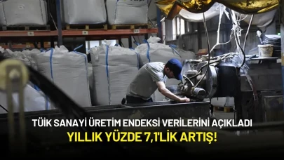 TÜİK Sanayi Üretim Endeksi Verilerini Açıkladı: Yıllık Yüzde 7,1'lik Artış!