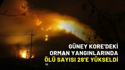 Güney Kore'deki orman yangınlarında ölü sayısı 28'e yükseldi
