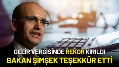 Gelir Vergisinde Rekor Kırıldı: 5 Milyona Yakın Beyanname Verildi, Vergi Geliri 411 Milyar Liraya Ulaştı