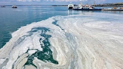 Balıkçılar Karadeniz’e Kaçtı! Marmara’da Müsilaj Yüzünden Av Durdu