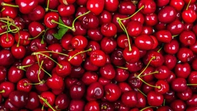 Her Gün Bir Avuç Kiraz Yiyin! Alzheimer ve Kanser Riski Azalıyor