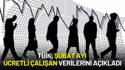 TÜİK, 2025 Şubat Ayı Ücretli Çalışan Verilerini Açıkladı