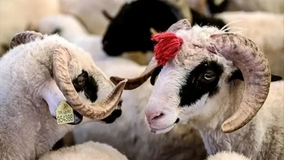 2025 Kurban Bayramı Ne Zaman? İşte Bayram Tatili ve Kurban Kesim Vakitleri