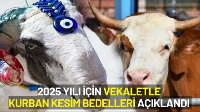 2025 Yılı İçin Vekaletle Kurban Kesim Bedelleri Açıklandı