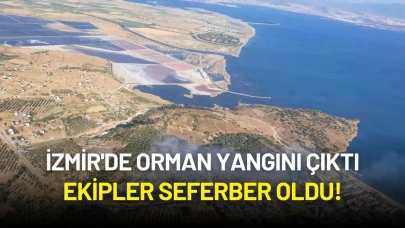İzmir'de Orman Yangını: Havadan ve Karadan Yoğun Müdahale Sürüyor