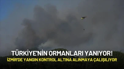 Türkiye'nin Ormanları Yanıyor! İzmir'de Yangın Kontrol Altına Alınmaya Çalışılıyor