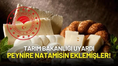 Tarım Bakanlığı Uyardı: Peynire Natamisin Eklemişler!