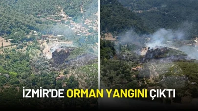 İzmir'de Orman Yangını Çıktı