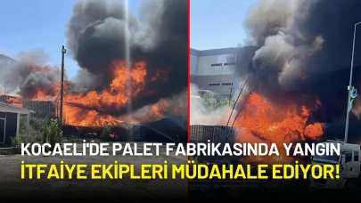 Kocaeli'de Palet Fabrikasında Yangın: İtfaiye Ekipleri Müdahale Ediyor!