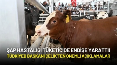 Şap Hastalığı Tüketicide Endişe Yarattı! TÜDKİYEB Genel Başkanı Çelik'ten Açıklama Geldi