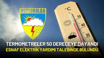 Termometreler 50 Dereceye Dayandı, Esnaf Elektrik Yardımı Talebinde Bulundu