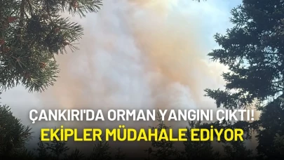 Çankırı'da Orman Yangını Çıktı! Ekipler Müdahale Ediyor