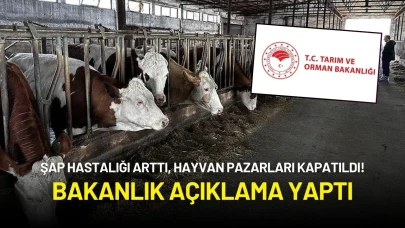 Şap Hastalığı Arttı, Hayvan Pazarları Kapatıldı! Bakanlık Açıklama Yaptı