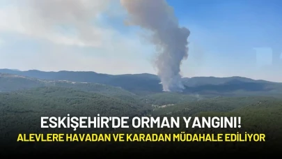 Eskişehir'de Orman Yangını! Alevlere Havadan ve Karadan Müdahale Ediliyor