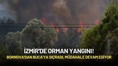 İzmir'de Orman Yangını! Bornova'dan Buca'ya Sıçradı, Müdahale Devam Ediyor