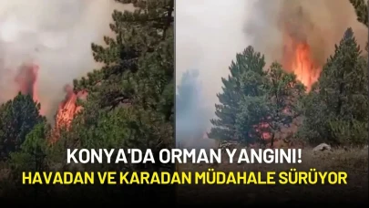 Konya'da Orman Yangını! Havadan ve Karadan Müdahale Sürüyor