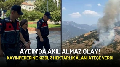 Aydın'da Akıl Almaz Olay! Kayınpederine Kızdı, 3 Hektarlık Alanı Ateşe Verdi