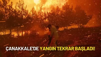 Çanakkale'de Yangın Tekrar Başladı: Alevler Hızla Köylere İlerliyor!
