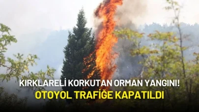 Kırklareli Korkutan Orman Yangını! Otoyol Trafiğe Kapatıldı