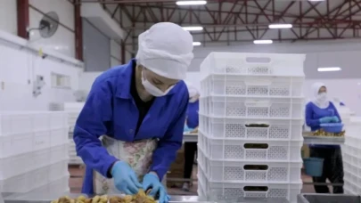 14 Ülkeye İhracat Gıda Devi Konkordato Başvurusunda Bulundu!