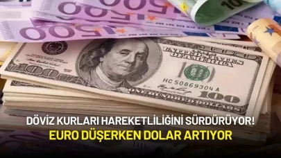 Döviz Kurları Hareketli! Euro Düşerken Dolar Artıyor
