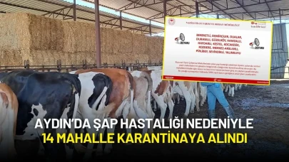 Aydın’da Şap Hastalığı Nedeniyle 14 Mahalle Karantinaya Alındı
