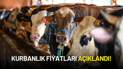 Kurbanlık Fiyatları ve Kızılay’ın Vekalet Bedelleri Açıklandı!