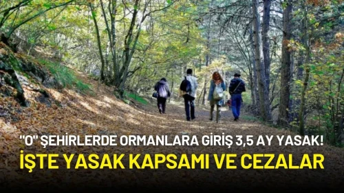 "O" Şehirlerde Ormanlara Giriş 3,5 Ay Yasak! İşte Yasak Kapsamı ve Cezalar