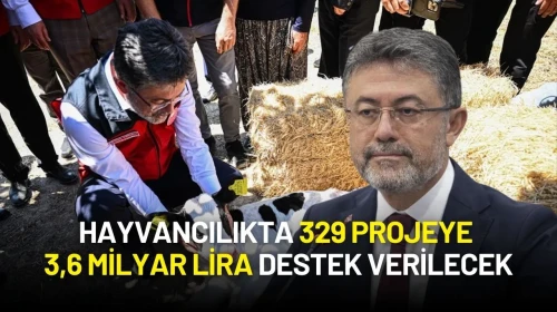Hayvancılığa Hibe Desteği! 329 Projeye 3,6 Milyar Lira Destek Verilecek