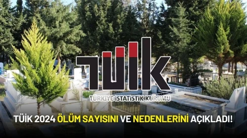TÜİK 2024 Ölüm Sayısını ve Nedenlerini Açıkladı! 489 Bin Kişi Hayatını Kaybetti