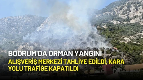 Bodrum'da Orman Yangını: Alışveriş Merkezi Tahliye Edildi, Kara Yolu Trafiğe Kapatıldı