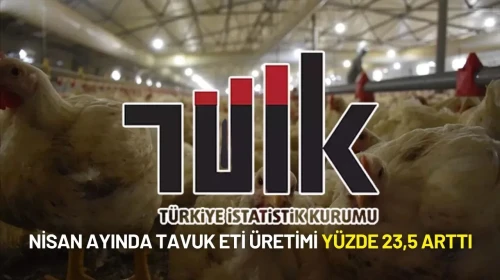 TÜİK Açıkladı: Nisan Ayında Tavuk Eti Üretimi Yüzde 23,5 Arttı