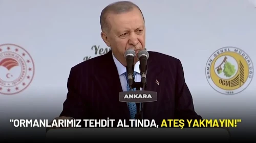 Cumhurbaşkanı Erdoğan’dan Kritik Uyarı: "Ormanlarımız Tehdit Altında, Ateş Yakmayın!"