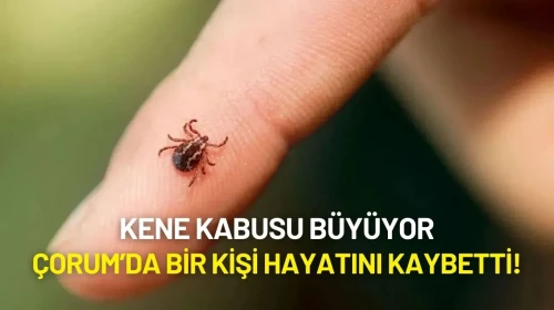 Kene Kabusu Büyüyor: Çorum’da Bir Kişi Hayatını Kaybetti!