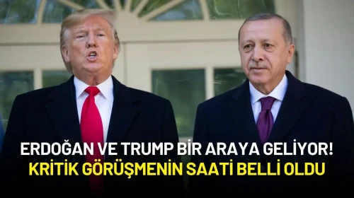 Erdoğan ve Trump Hollanda’da Bir Araya Geliyor! Kritik Görüşmenin Saati Belli Oldu