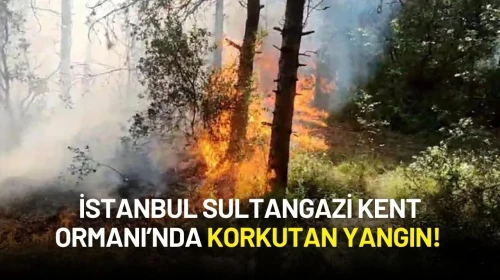 İstanbul Sultangazi Kent Ormanı’nda Korkutan Yangın!
