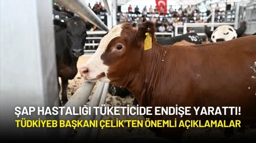 Şap Hastalığı Tüketicide Endişe Yarattı! TÜDKİYEB Genel Başkanı Çelik'ten Açıklama Geldi