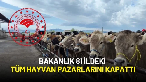 Şap Hastalığı Arttı! Bakanlık 81 İldeki Tüm Hayvan Pazarlarını Kapattı