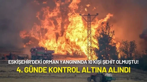 Eskişehir'deki Orman Yangınında 10 Kişi Şehit Olmuştu! 4. Günde Kontrol Altına Alındı