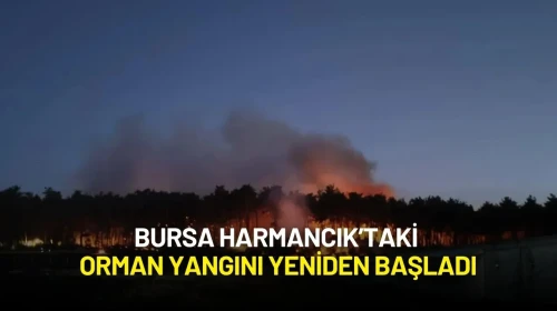 Bursa Harmancık’taki Orman Yangını Yeniden Başladı