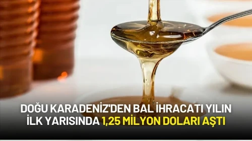 Doğu Karadeniz'den Bal İhracatı Yılın İlk Yarısında 1,25 Milyon Doları Aştı