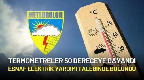 Termometreler 50 Dereceye Dayandı, Esnaf Elektrik Yardımı Talebinde Bulundu