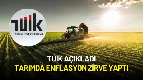 TÜİK Açıkladı: Tarımda Enflasyon Zirve Yaptı