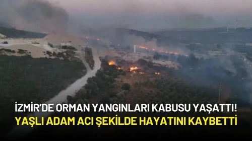İzmir’de Orman Yangınları Kabusu Sürüyor! Yaşlı Adam Acı Şekilde Hayatını Kaybetti